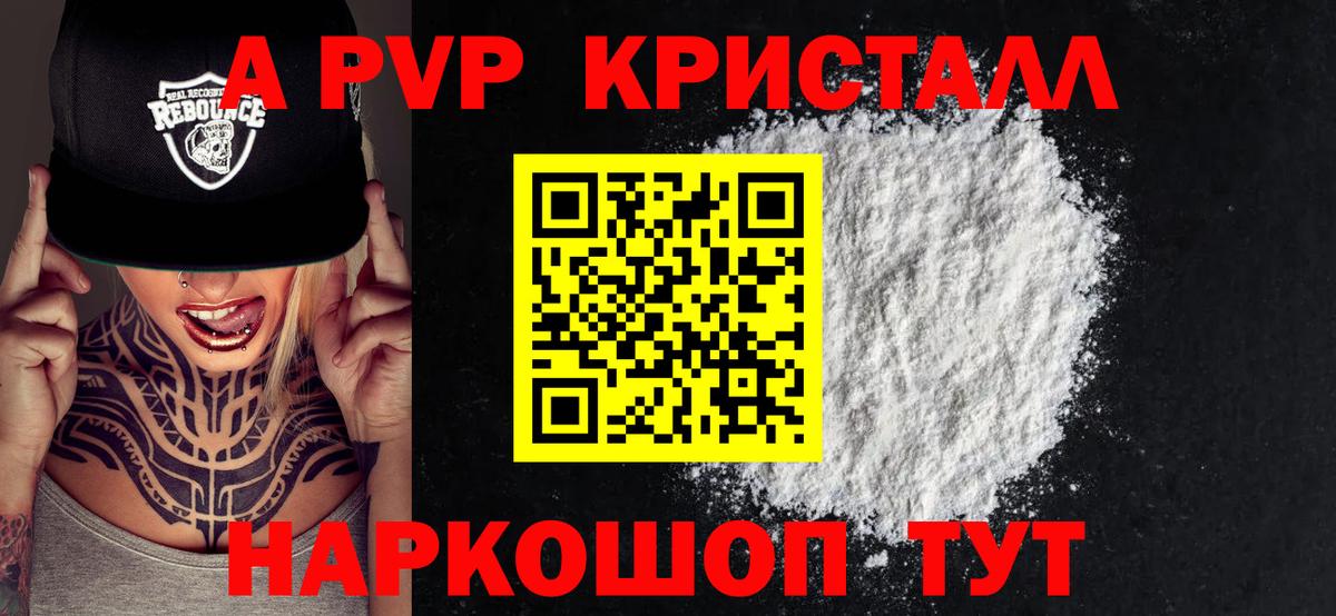 Alfa_PVP СК КРИС Дубна