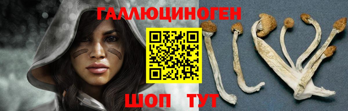 Галлюциногенные грибы Cubensis Дубна